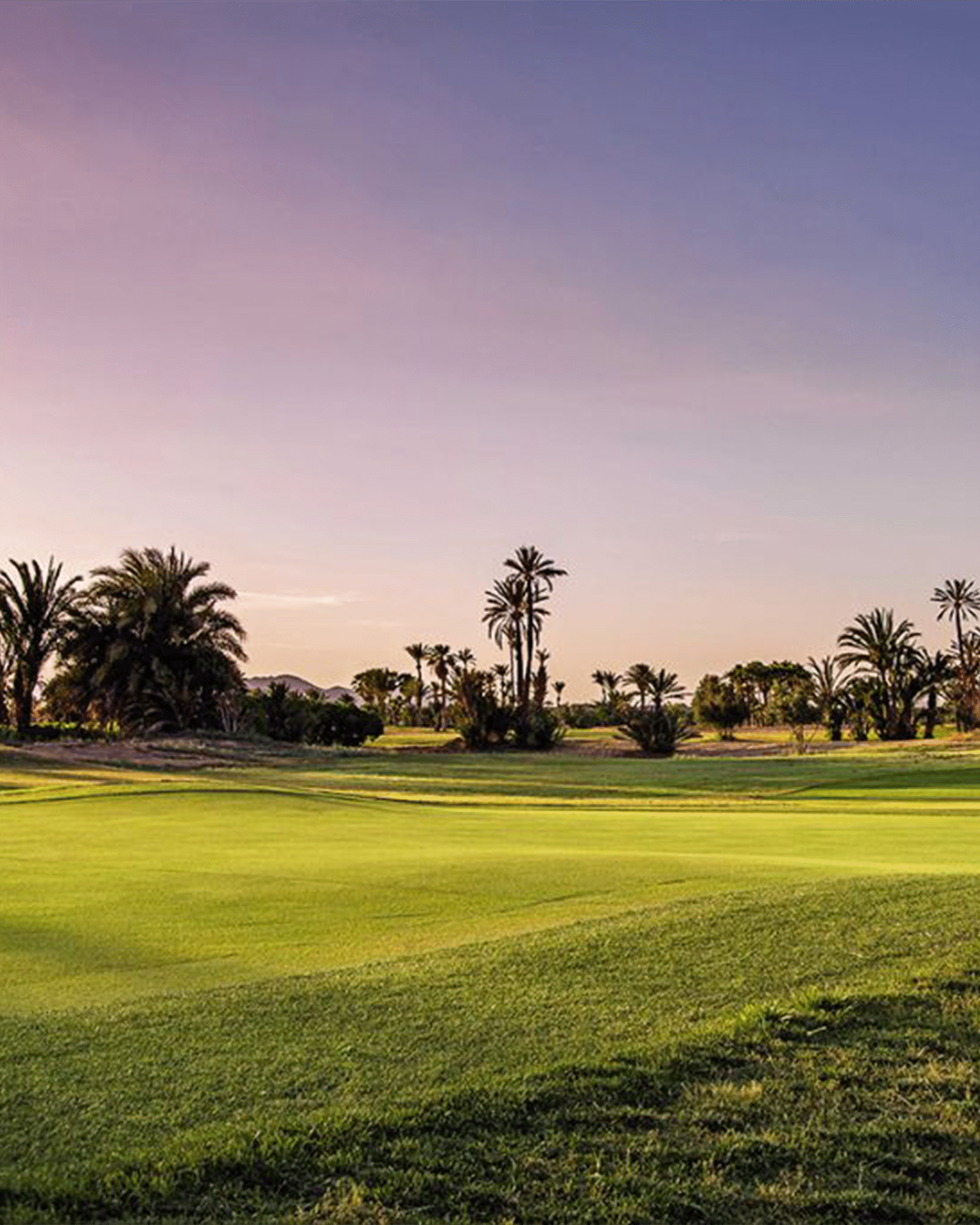 Photo 18 - Tournaments - PICKALBATROS GOLF TROPHY