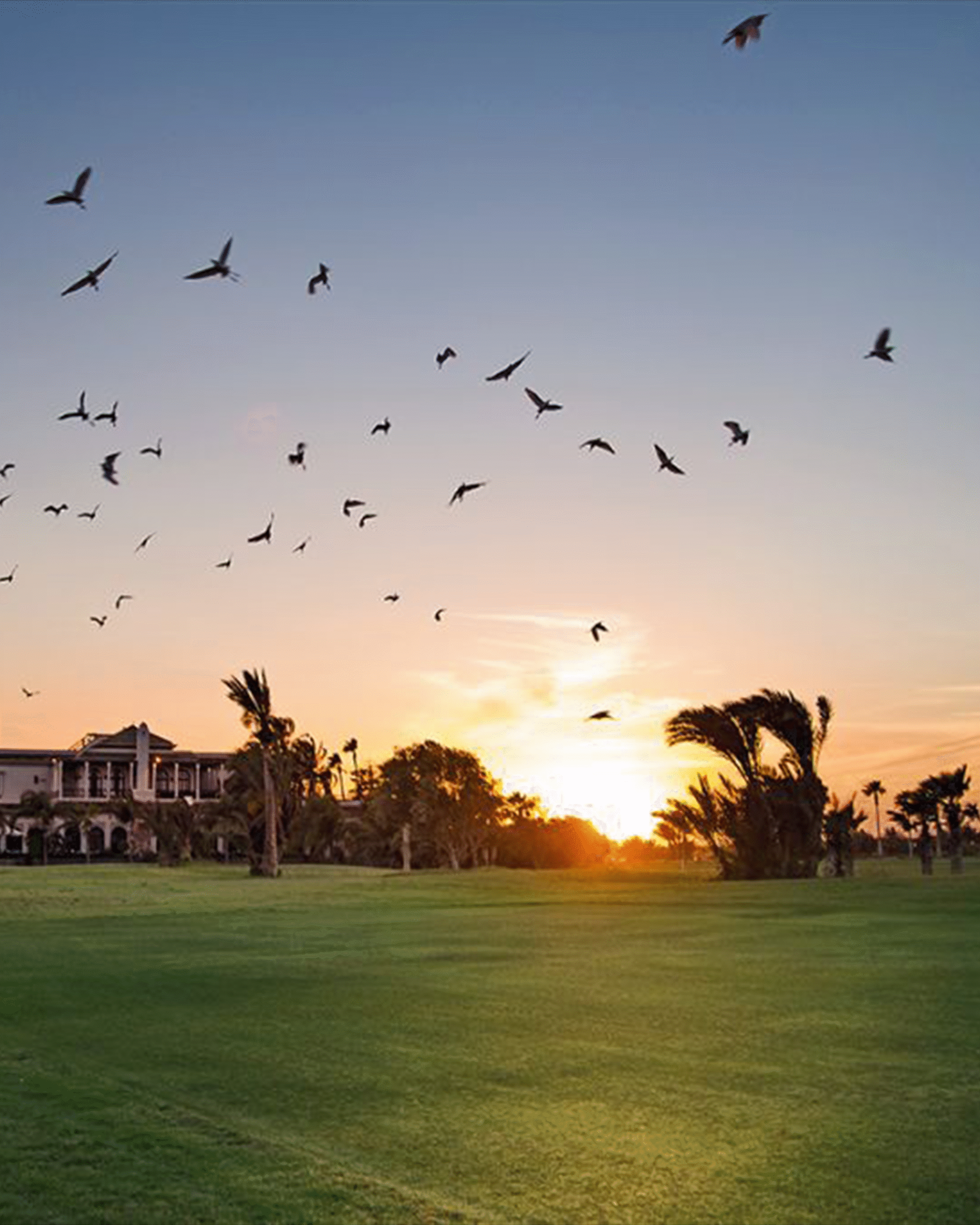 Photo 19 - Tournaments - TARA GOLF CUP